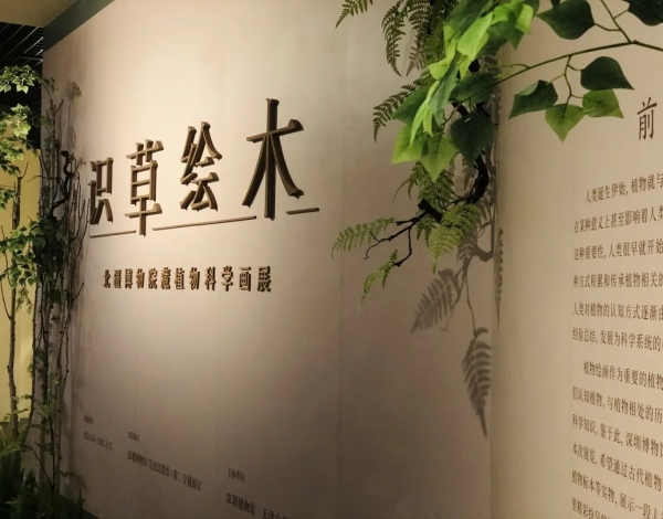 抓住暑假的尾巴，帶孩子感受博物館藝術的“光合作用”！