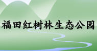 福田紅樹林生態公園